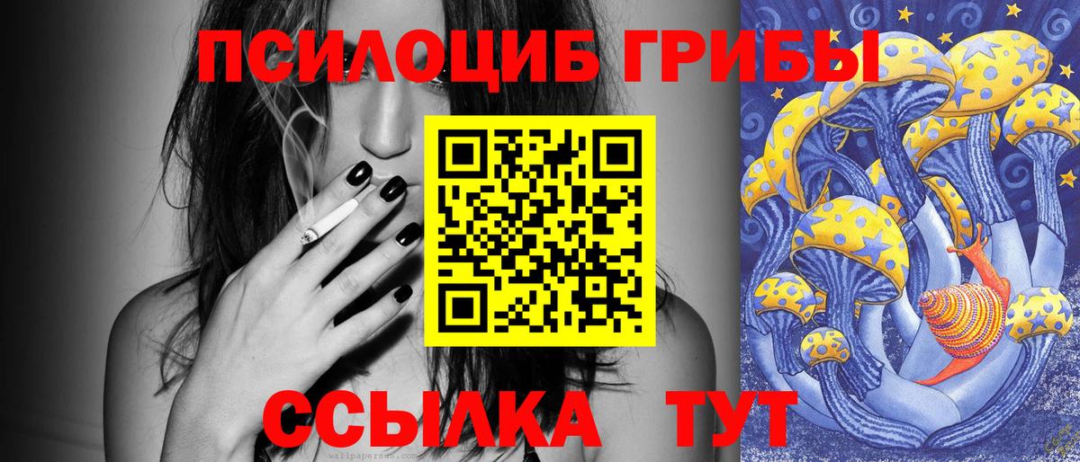 Нижний Новгород  Псилоцибиновые грибы Psilocybe  Вход с VPN 
